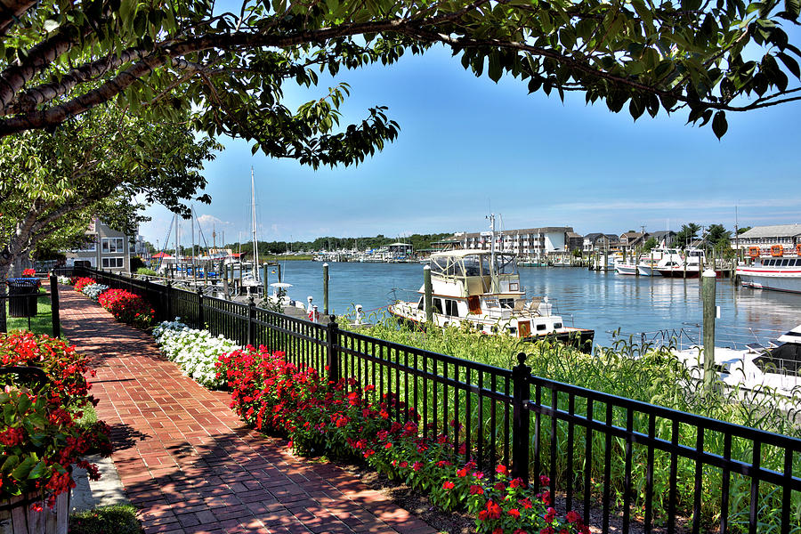 Lewes-DE-image.jpg