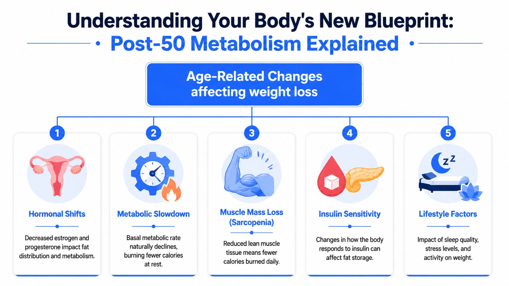 An infographic showing five key age-related physiological changes affecting weight loss in women over 50 years old.