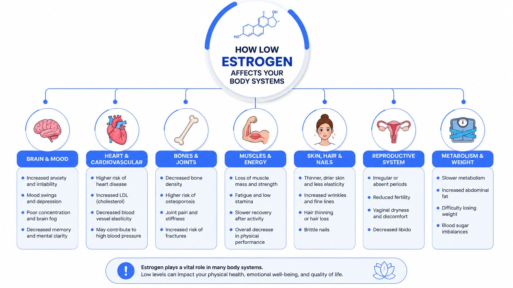 An infographic showing how low estrogen levels negatively impact various body systems including mood, bones, and metabolism.