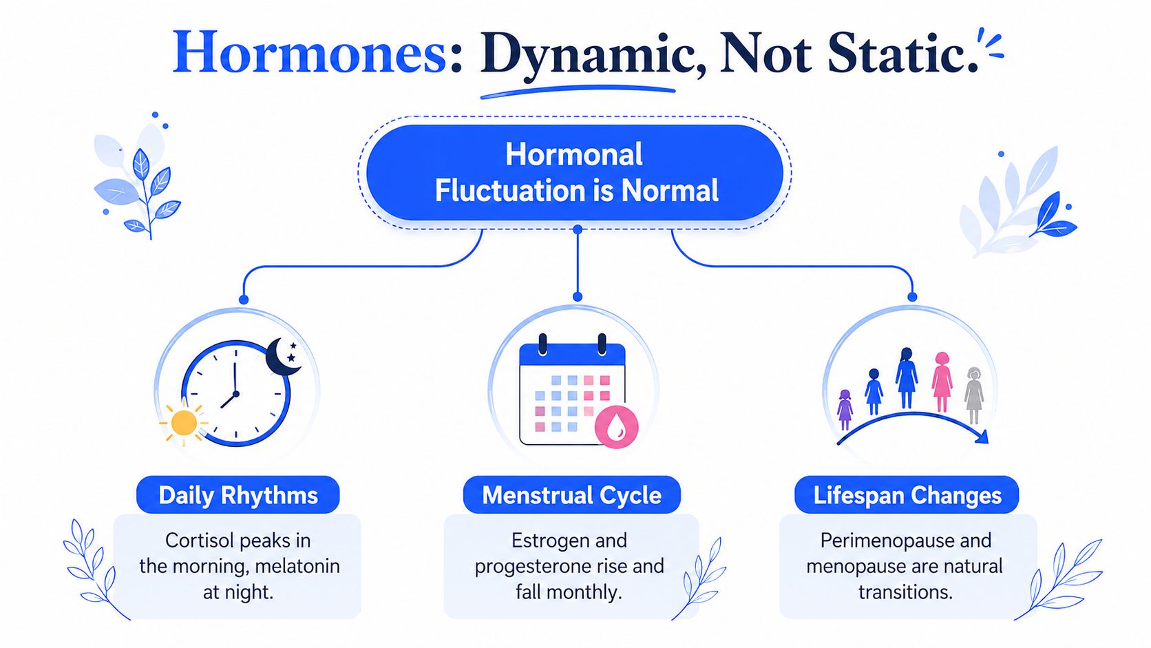 An infographic showing that hormonal fluctuations, including daily rhythms, menstrual cycles, and lifespan changes, are normal.