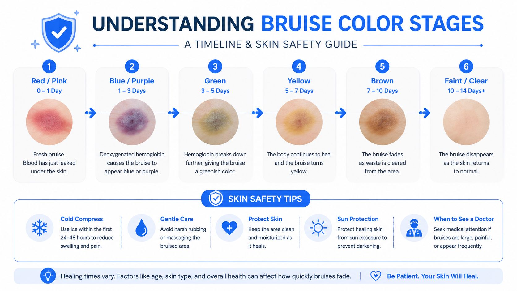 An infographic detailing the various stages of bruise healing from red to clear with medical safety tips.