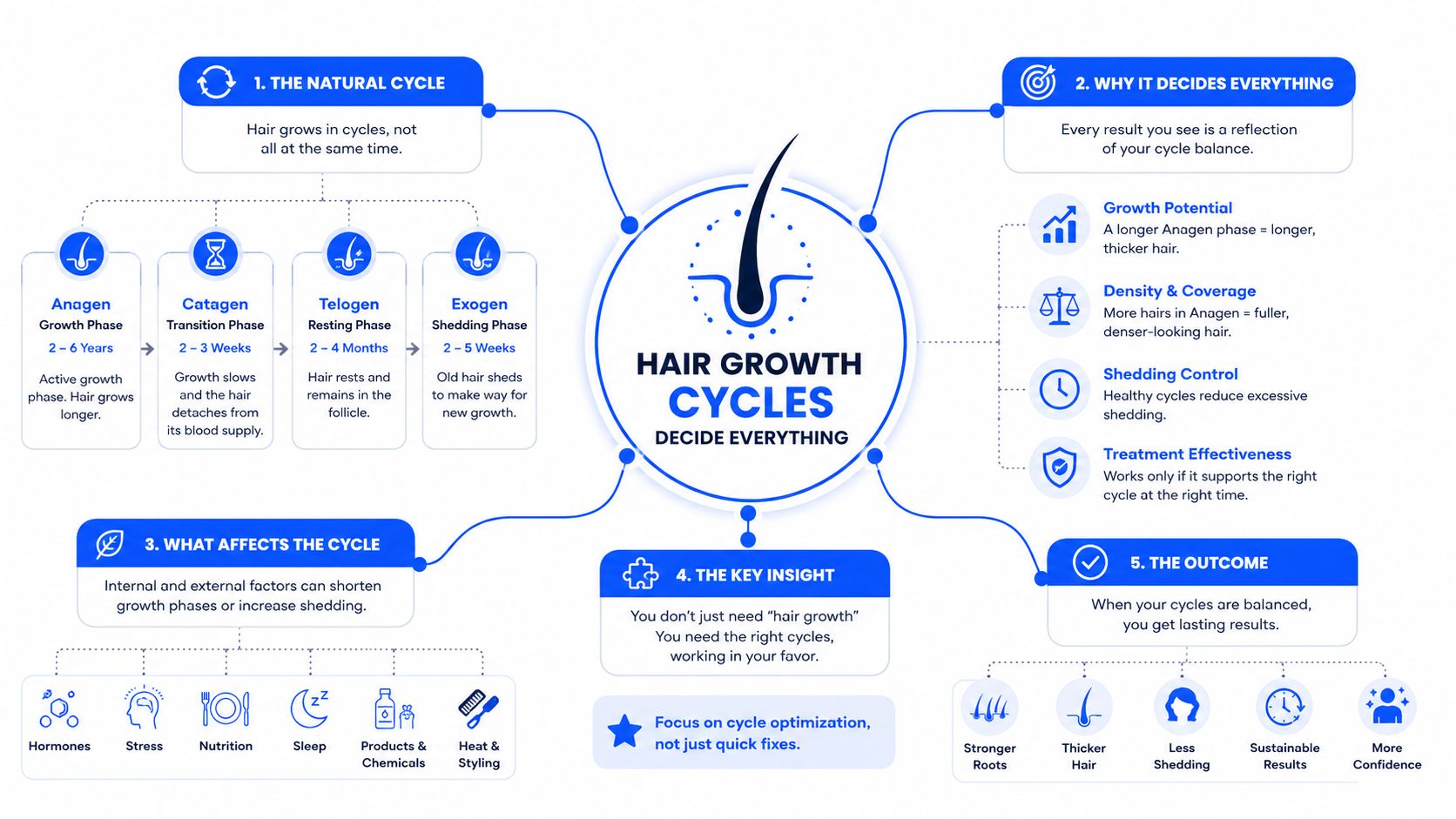 An infographic showing the four phases of the natural human hair growth cycle and factors affecting it.